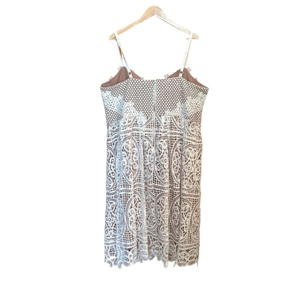 City Chic Fancy Free Cream Lace Midi Dress Cocktail Wedding Sz L/20 - Picture 6 of 10